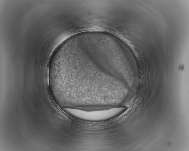 X0000098071171200805020950