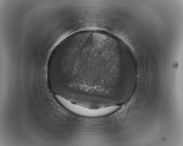 X0000098071173200805020950