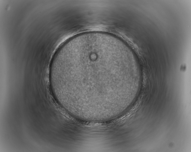 X0000098071174200805020950