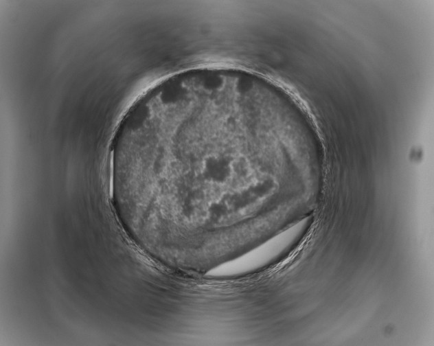 X0000098071175200805020950