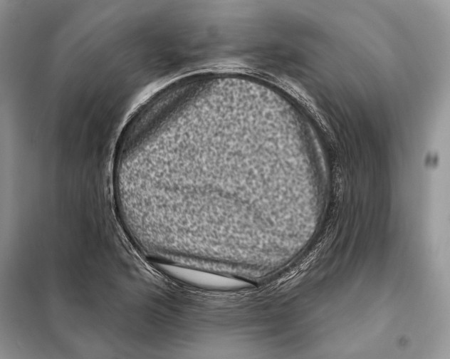 X0000098071176200805020950