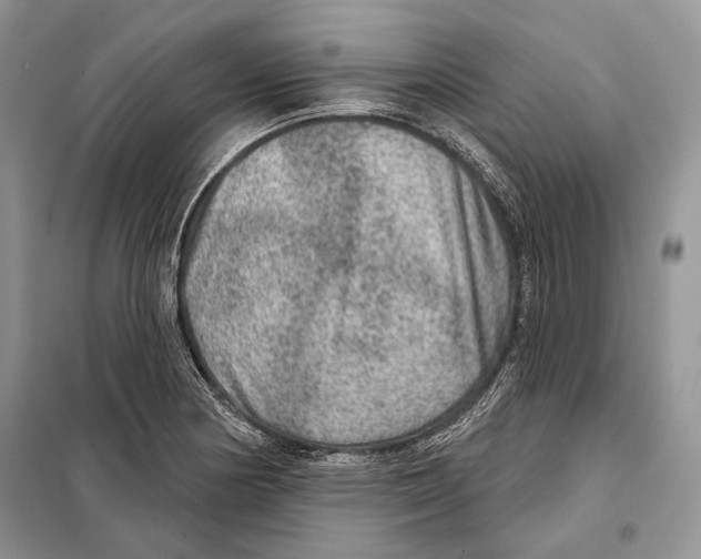 X0000098071178200805020950