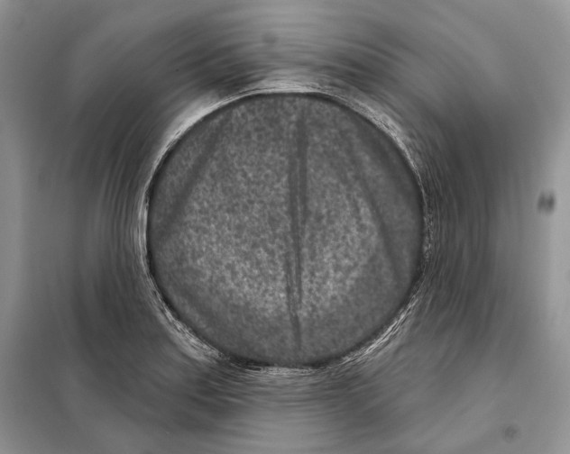 X0000098071179200805020950