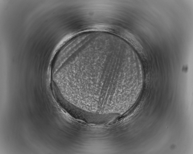 X0000098071180200805020950