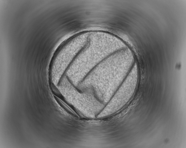 X0000098071181200805020950