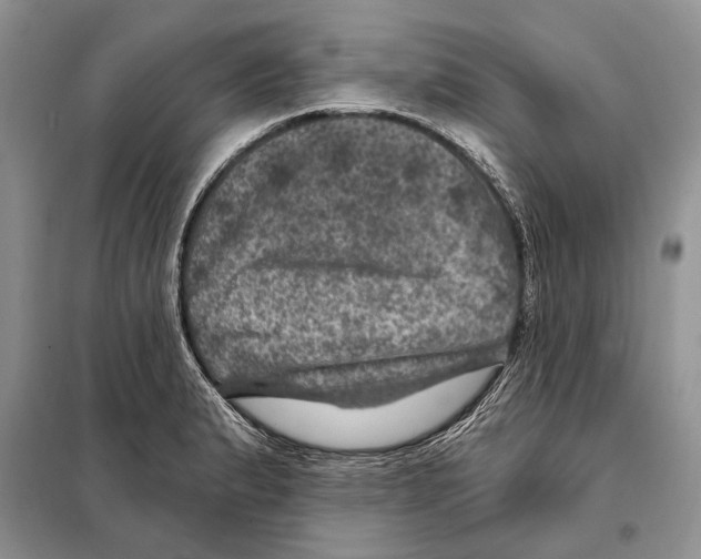 X0000098071183200805020950