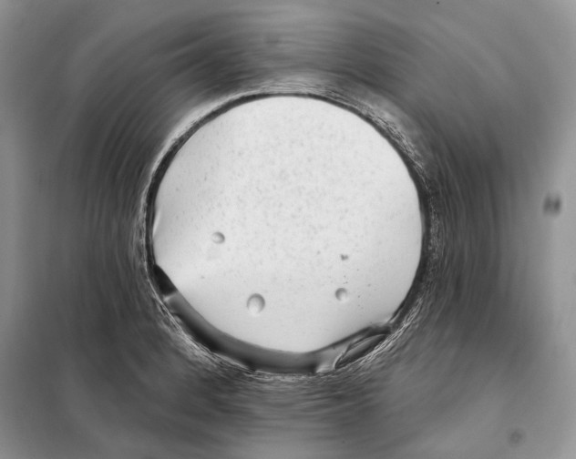 X0000098071184200805020950