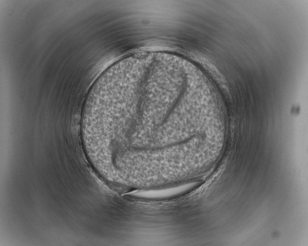 X0000098071185200805020950