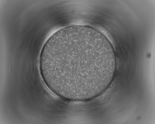 X0000098071187200805020950