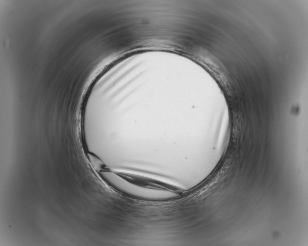 X0000098071188200805020950