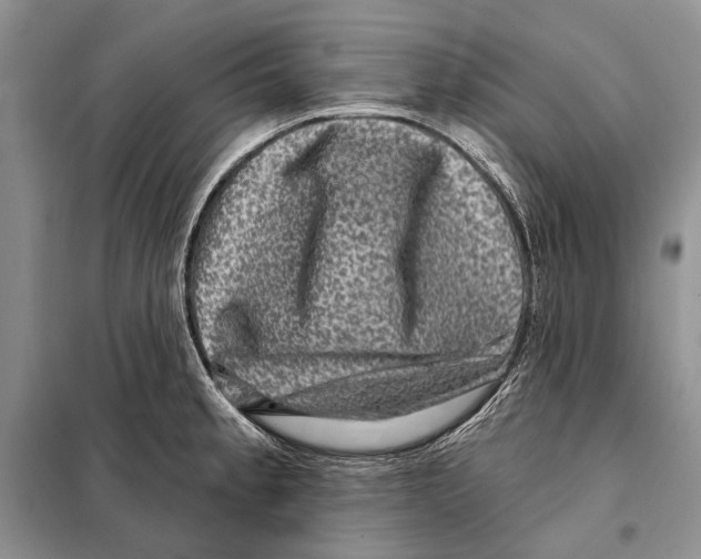 X0000098071189200805020950