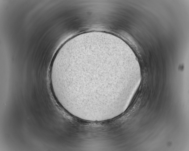 X0000098071190200805020950