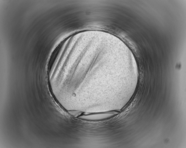 X0000098071192200805020950