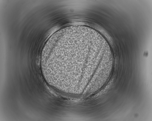 X0000098071193200805020950