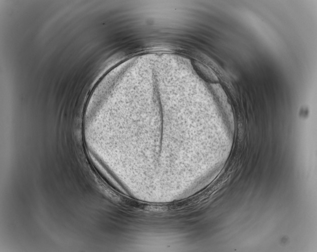 X0000098071194200805020950