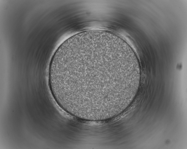 X0000098071195200805020950