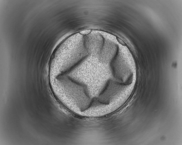 X0000098071198200805020950