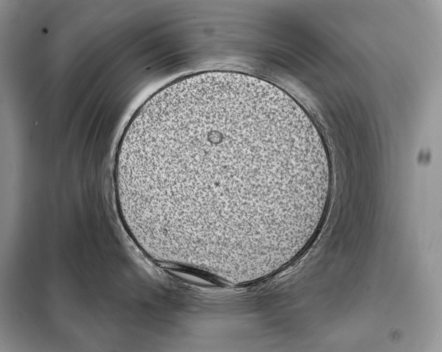 X0000098071200200805020950