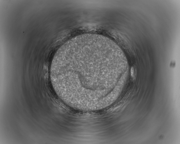 X0000098071203200805020949