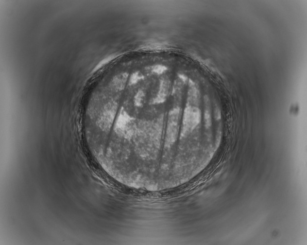 X0000098071206200805020949