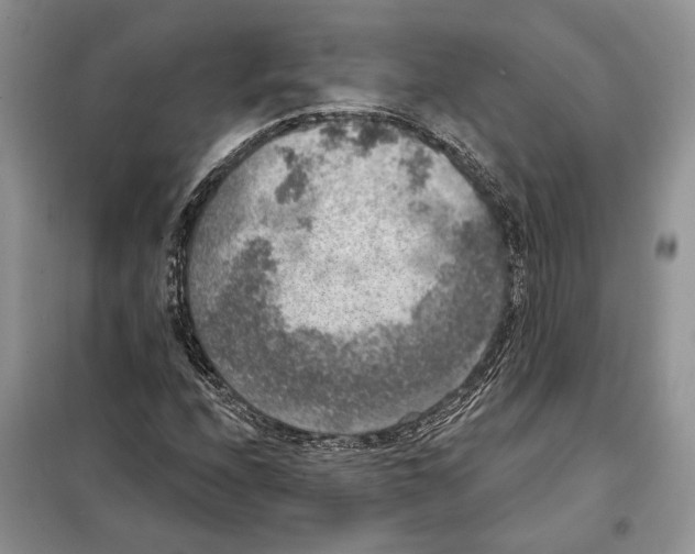 X0000098071208200805020949