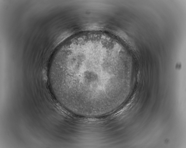 X0000098071209200805020949