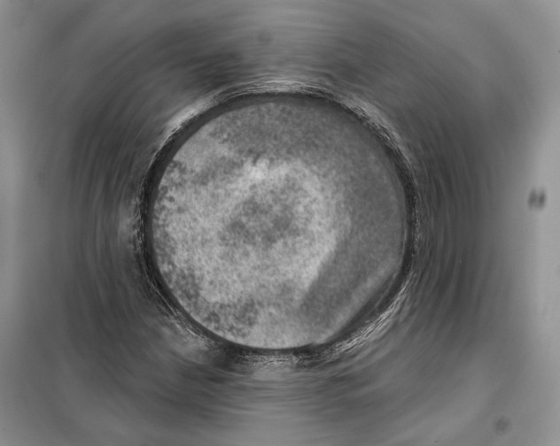 X0000098071210200805020949