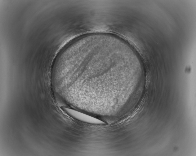 X0000098071212200805020949