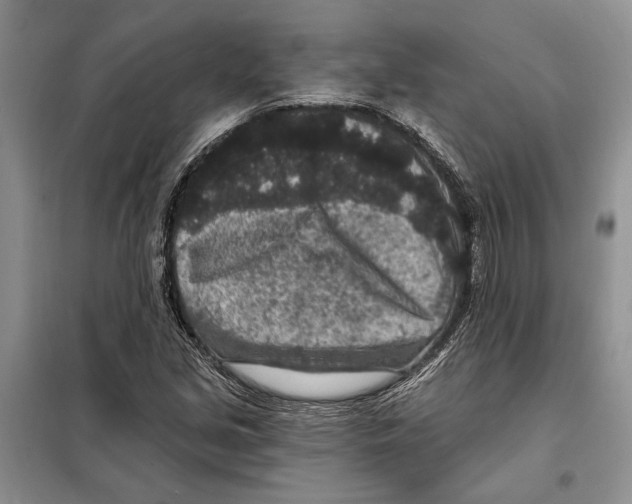 X0000098071213200805020949