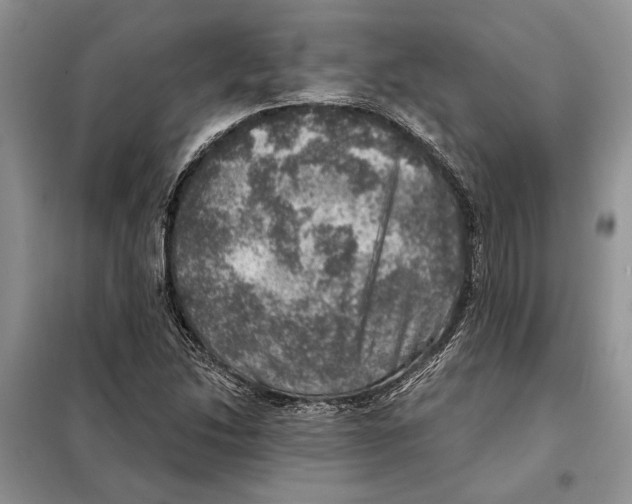 X0000098071214200805020949