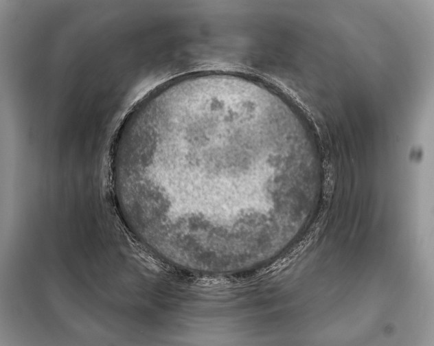 X0000098071215200805020949