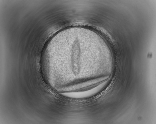 X0000098071217200805020950