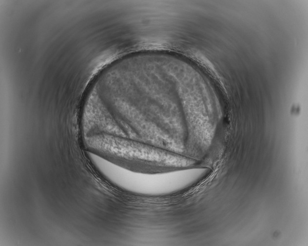 X0000098071218200805020950