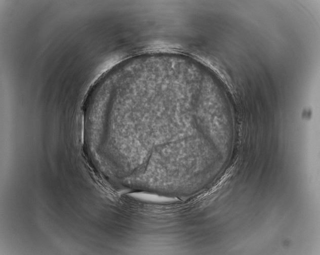 X0000098071219200805020950