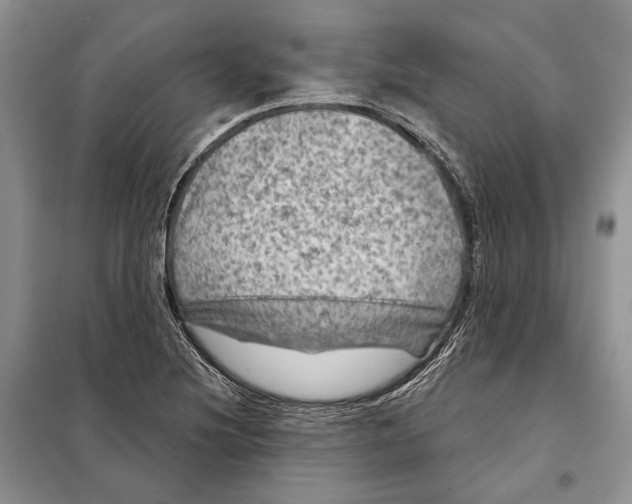 X0000098071220200805020950