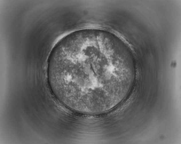 X0000098071222200805020950