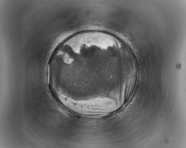 X0000098071223200805020950