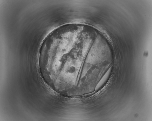 X0000098071224200805020950