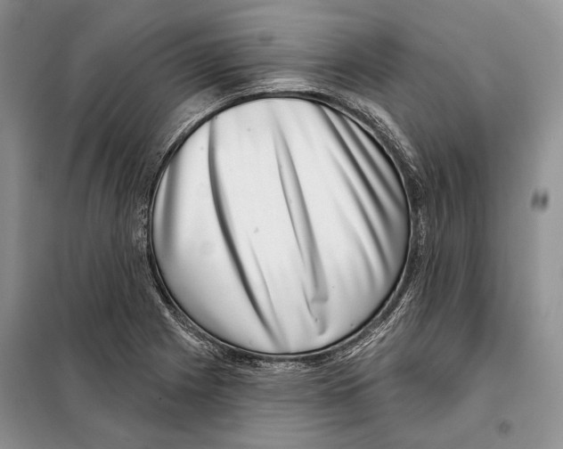 X0000098071225200805020950