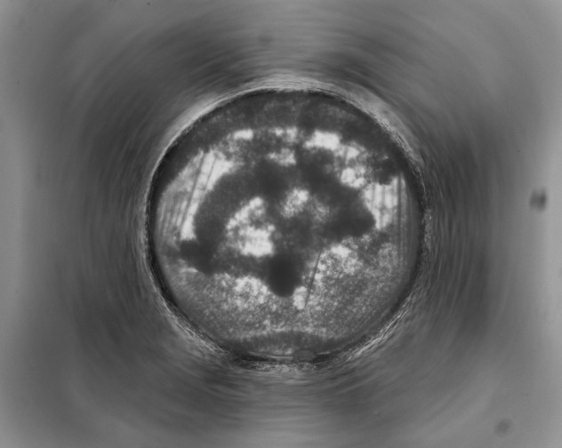 X0000098071229200805020950