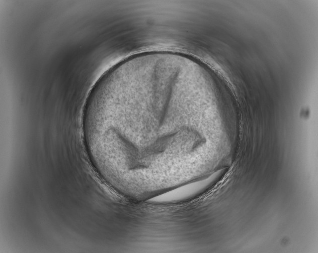 X0000098071230200805020950