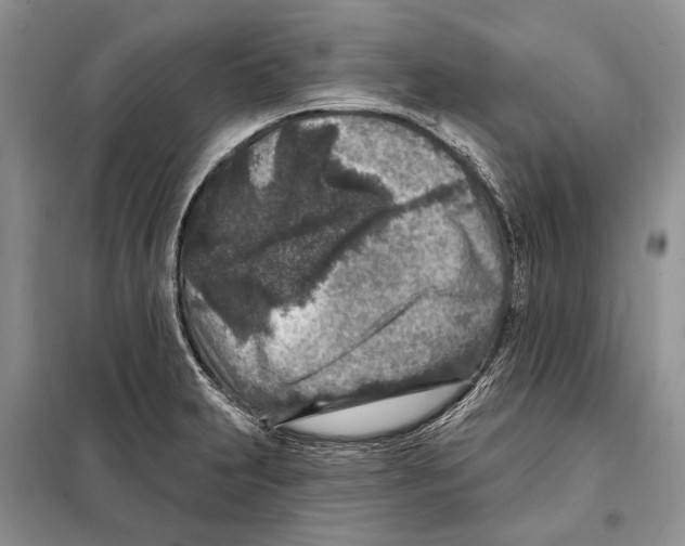 X0000098071231200805020950