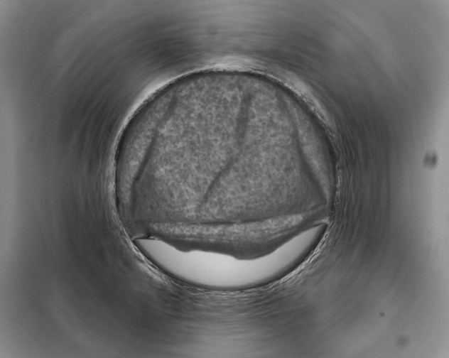 X0000098071232200805020950