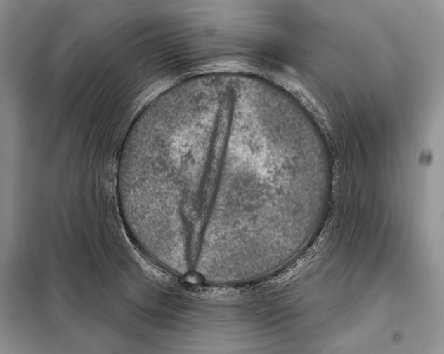 X0000098071233200805020950