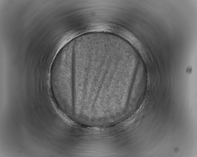 X0000098071234200805020950