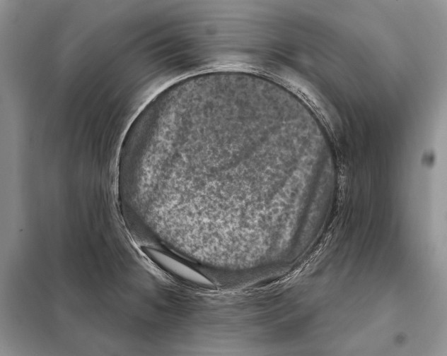 X0000098071236200805020950