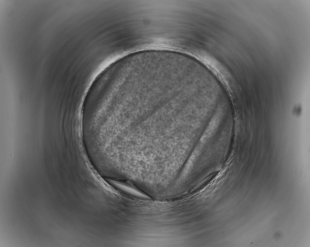 X0000098071238200805020950