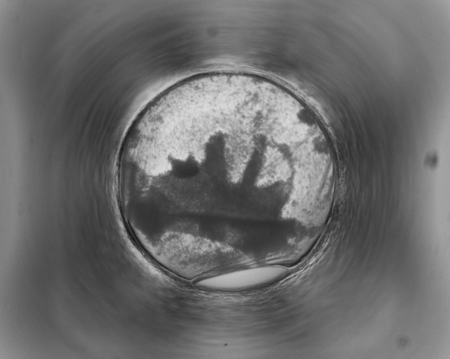 X0000098071239200805020950