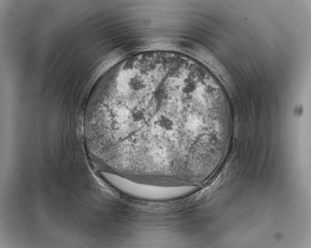 X0000098071241200805020950