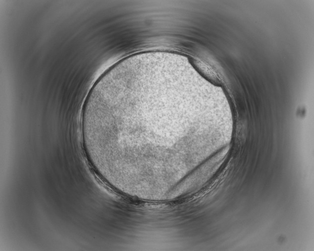 X0000098071242200805020950